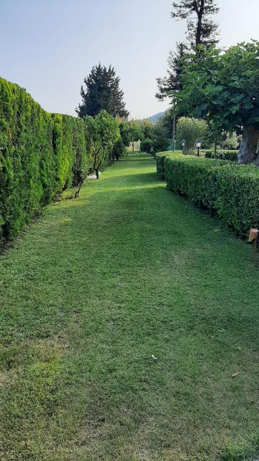Casale Battaglini Bed & Breakfast Castelnuovo Cilento Luaran gambar