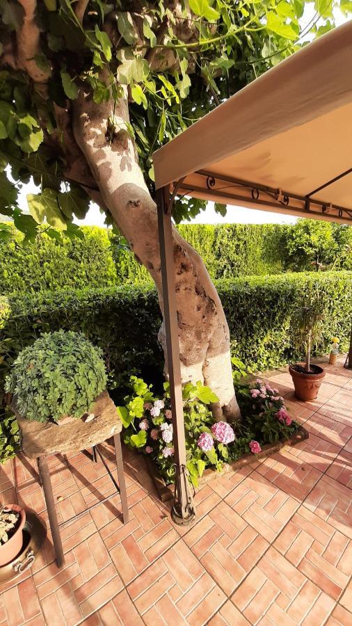 Casale Battaglini Bed & Breakfast Castelnuovo Cilento Luaran gambar