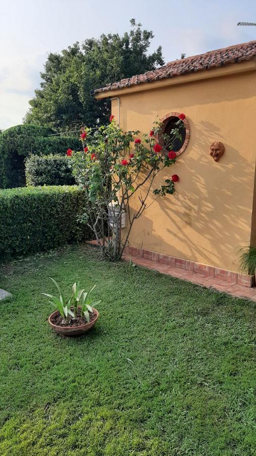 Casale Battaglini Bed & Breakfast Castelnuovo Cilento Luaran gambar